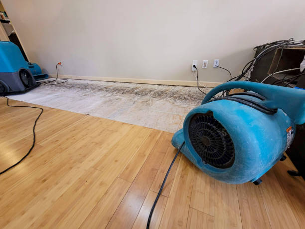 Professional Water Damage Repair technician working in Malone, FL